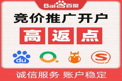 竞价广告的投放策略与网络推广的实践案例
